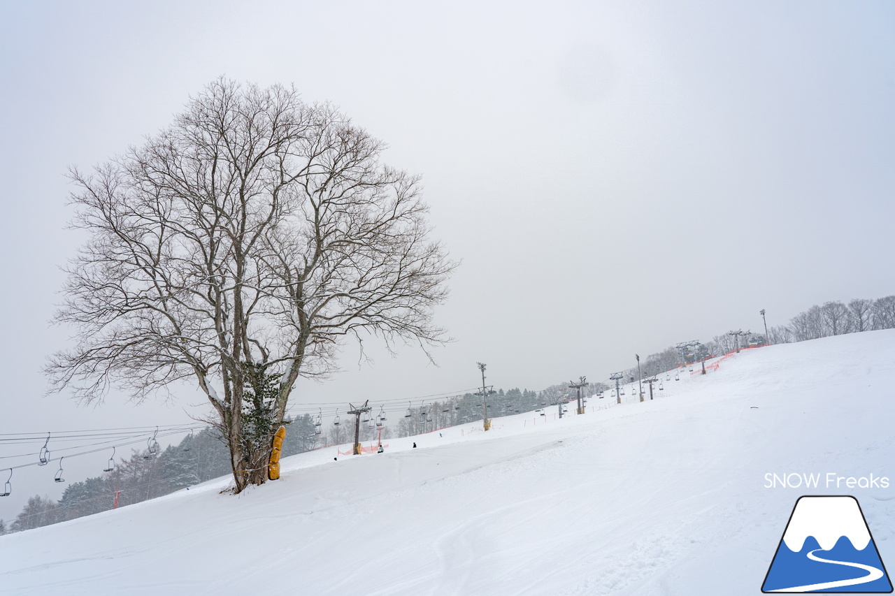 北長沼スキー場｜ありがとう、2023年。2024年は、たくさんの粉雪が降り積もりますように！